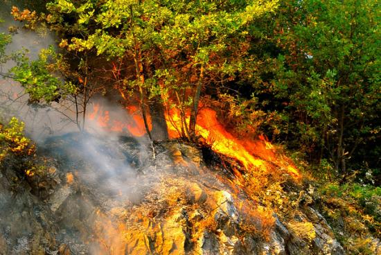 Fire in tuscan forest between ciciano and montieri