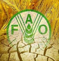 logo de FAO