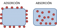 adsorción vs. absorción