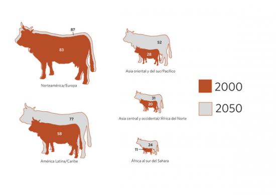 Figura 2. Aumento proyectado en el consumo de carne por región* (kilos per capita)