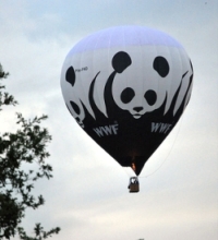 globos de WWF