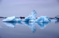 hielos árticos