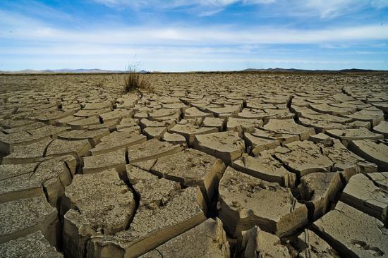 Mongolia climate change and adaptation