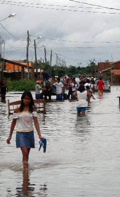 Imagen de Teresa Flores B.